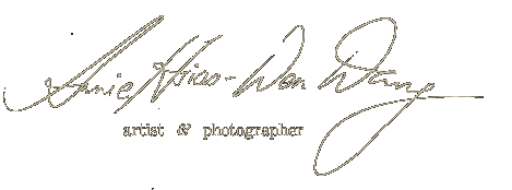 Annie Hsiao-Wen Wang. Artist and Photographer